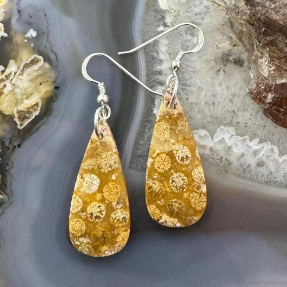 Sterling Silver Teardrop Fossilized Jasper Slab Dangle Earrings For Women #193 - Picture 1 of 10